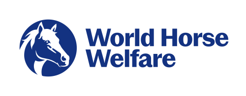 World Horse Welfare